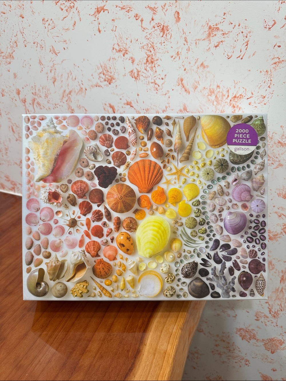 Galison Seashells - 2000 Piece Puzzle